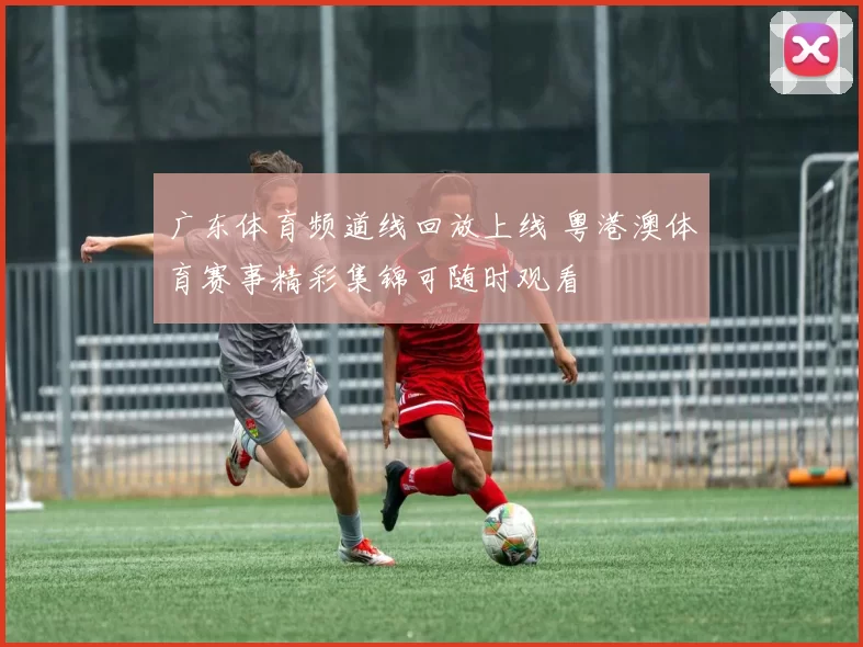 广东体育频道线回放上线 粤港澳体育赛事精彩集锦可随时观看