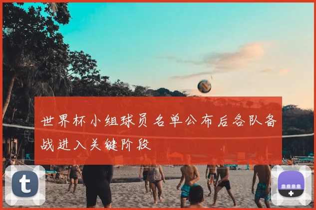 世界杯小组球员名单公布后各队备战进入关键阶段