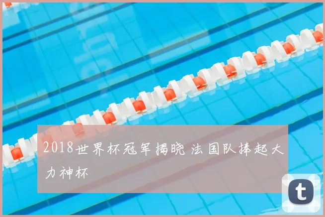 2018世界杯冠军揭晓 法国队捧起大力神杯