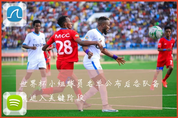 世界杯小组球员名单公布后各队备战进入关键阶段