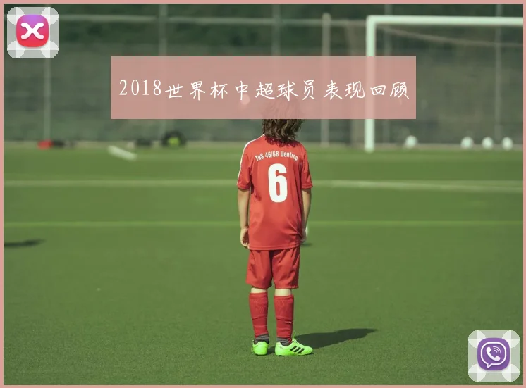 2018世界杯中超球员表现回顾