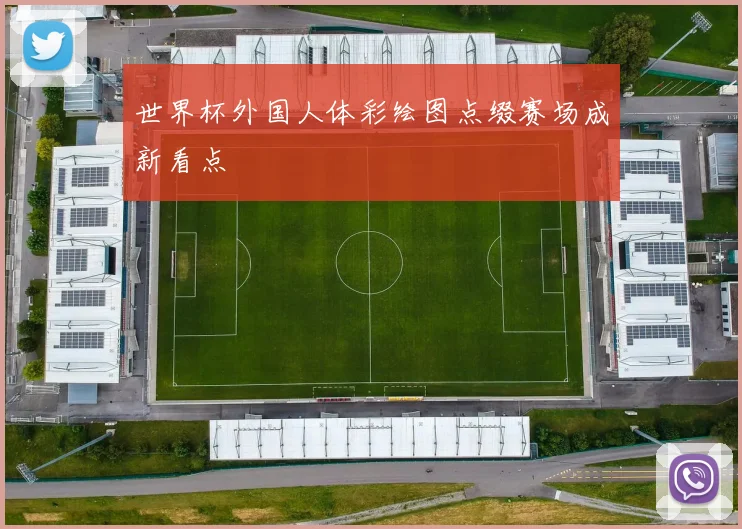 世界杯外国人体彩绘图点缀赛场成新看点