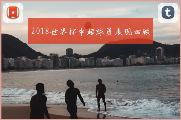 2018世界杯中超球员表现回顾