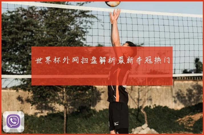 世界杯外网扫盘解析最新夺冠热门