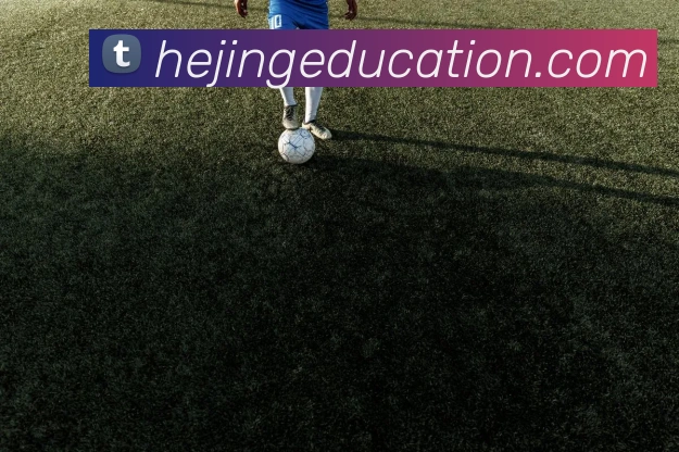 App功能展示图
